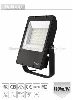 F13.05 - Asymmetric Floodlight