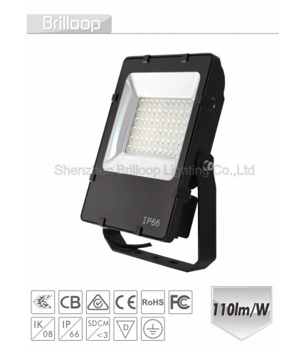 F13.05 - Asymmetric Floodlight