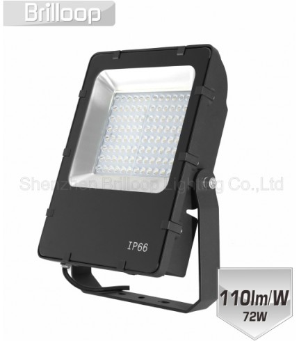 F13.05 - Asymmetric Floodlight