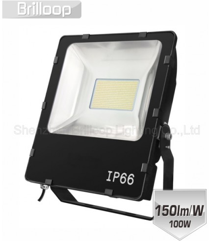 F13.06 - HE Symmetry Floodlight