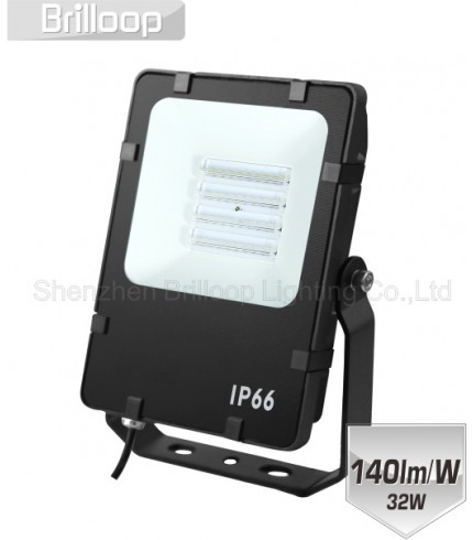 F13.07 - Linear Lens Floodlight