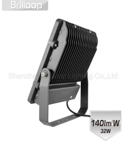 F13.07 - Linear Lens Floodlight