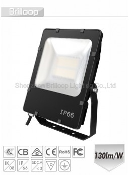 F13.09 - Symmetry Floodlight